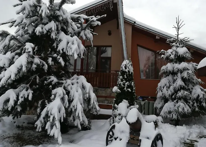 вилно селище св. георги победоносец * Tsigov Chark